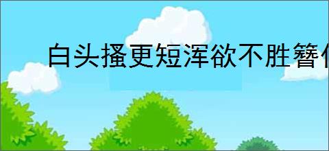 白头搔更短浑欲不胜簪什么意思