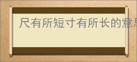 尺有所短寸有所长的意思