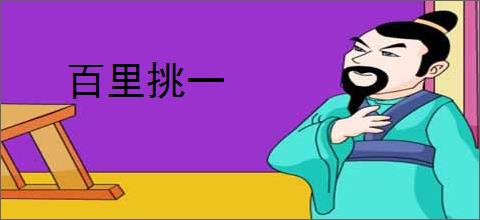 百里挑一